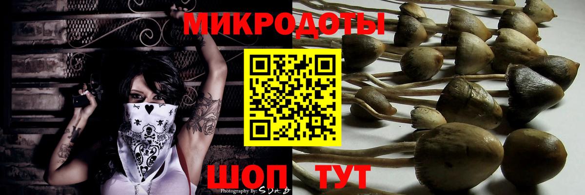 Псилоцибиновые грибы MAGIC MUSHROOMS  Вход с VPN  Бузулук 